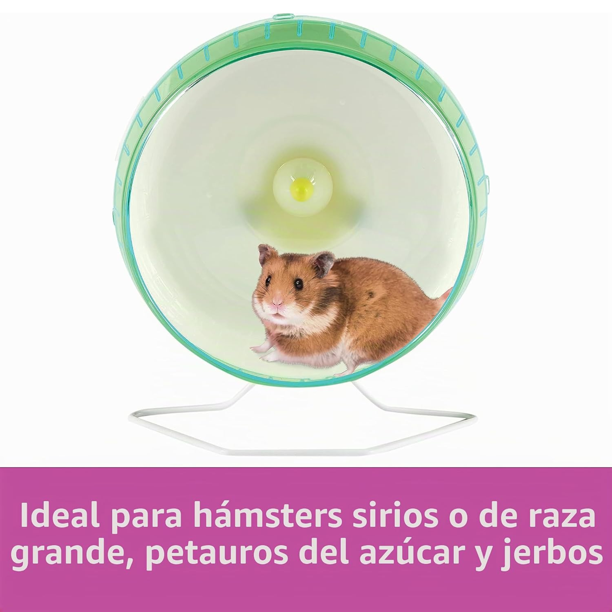Kaytee rueda ejercitadora SILENT SPINNER grande 10"