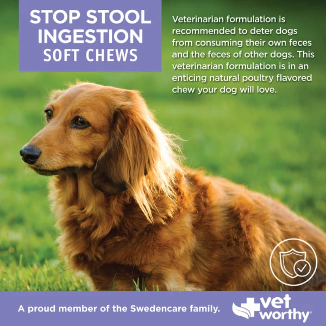 Vet Worthy Suplementos Anti-Coprofagia para Perros