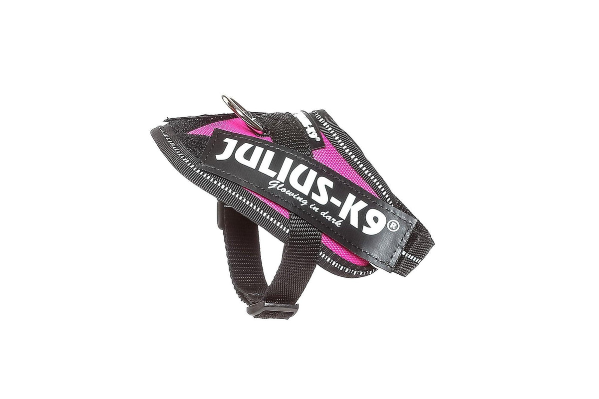 Julius K-9 Arnés IDC Power Perro Adulto tamaño XS Mini