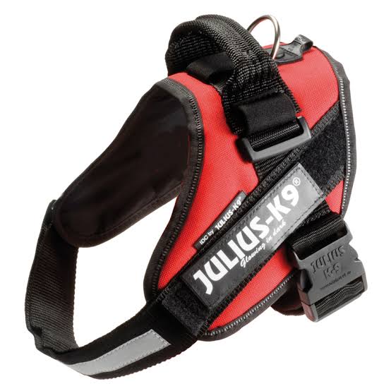 Julius K-9 Arnés IDC Power Perro Adulto tamaño M