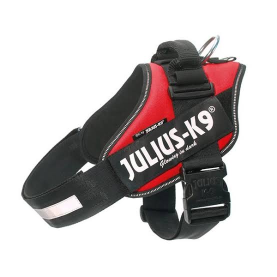 Julius K-9 Arnés IDC Power Perro Adulto tamaño XXL