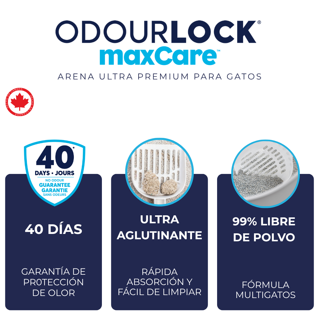 Intersand Maxcare Arena con monitoreo de salud