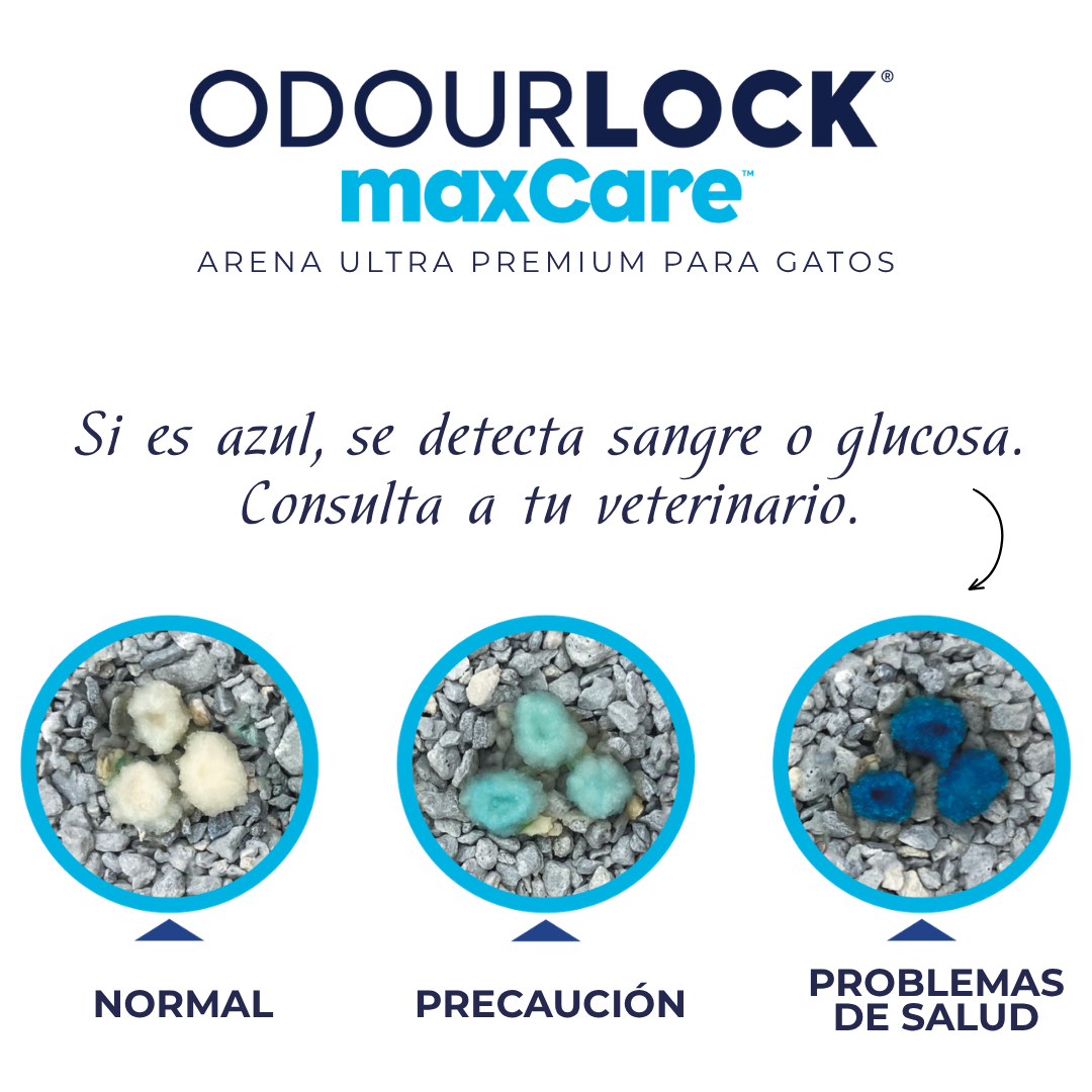 Intersand Maxcare Arena con monitoreo de salud